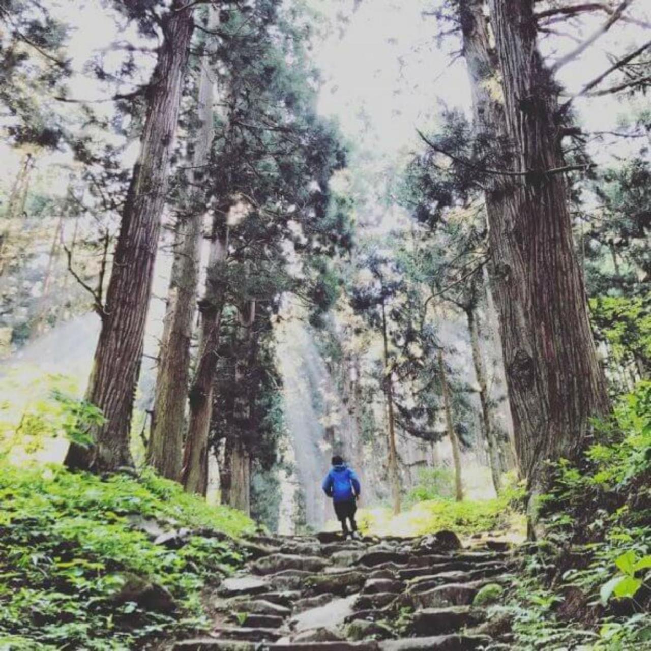 Lodge Nagano Nozawaonsen Ngoại thất bức ảnh